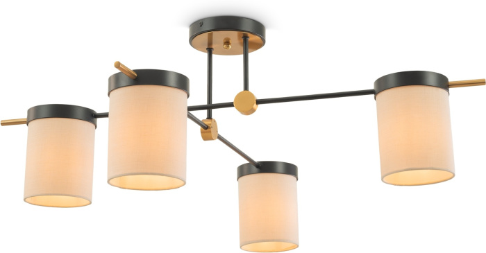 Изображение товара Потолочная люстра Bogy FR5377CL-04B от магазина N&M Home