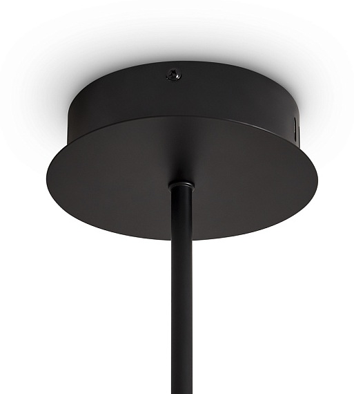Изображение товара Подвесной светильник Brilliance FR5557PL-L22B от магазина N&M Home