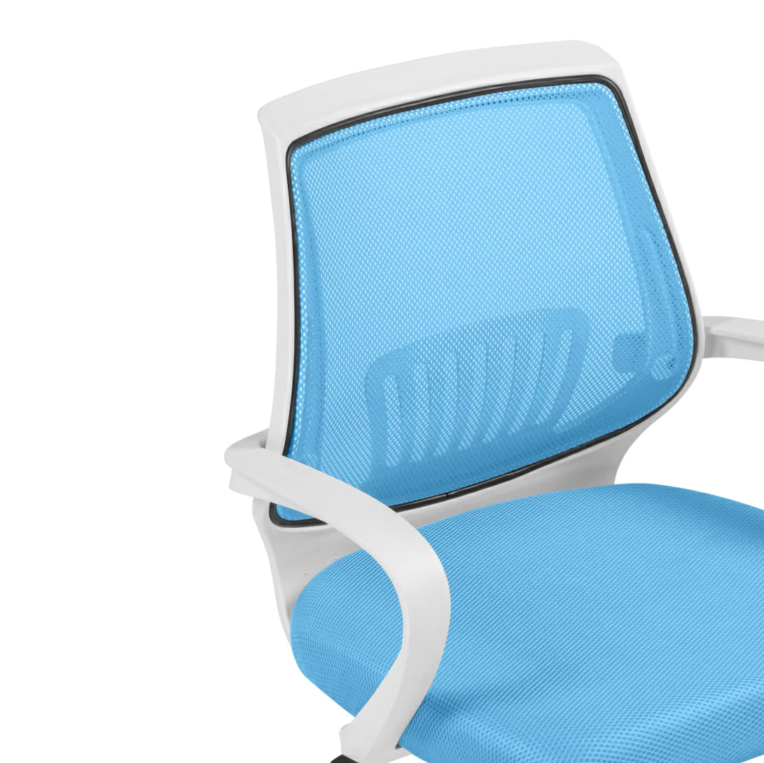 Изображение товара Компьютерное кресло Ergoplus blue / white от магазина N&M Home