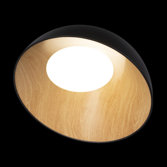 Изображение товара Потолочный светильник Egg 10197/500 Black от магазина N&M Home