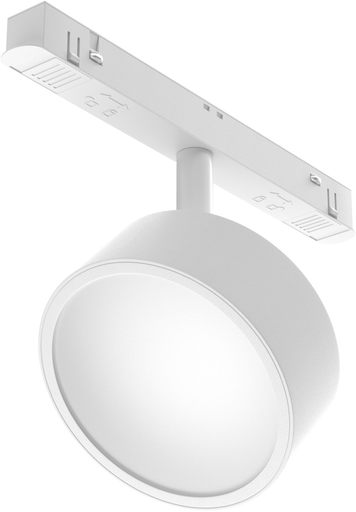 Изображение товара Трековый светильник Rado TR040-2-18W4K-W от магазина N&M Home