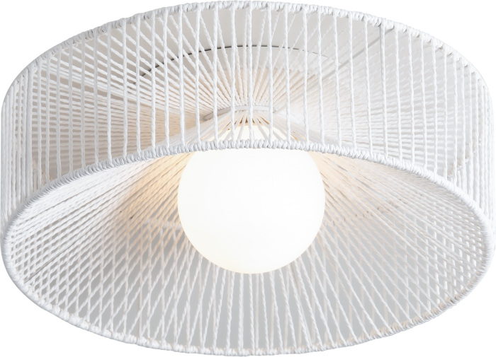 Изображение товара Потолочный светильник Cottage FR5405CL-01W от магазина N&M Home