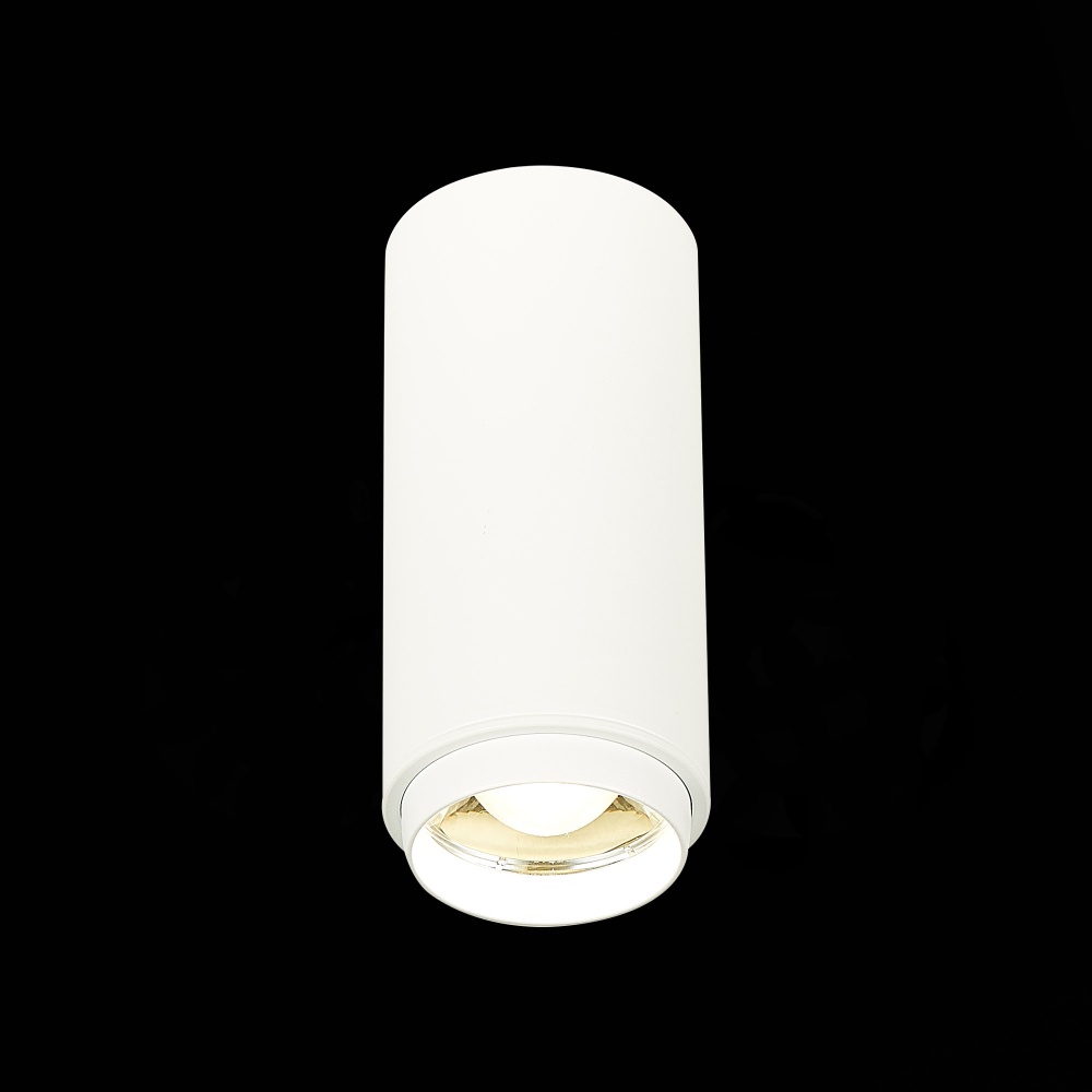 Изображение товара ST600.542.10 Светильник потолочный Zoom Белый LED 1*10W 4000K 1 000Lm Ra>80 15-60° IP20 D59xH130 170 от магазина N&M Home