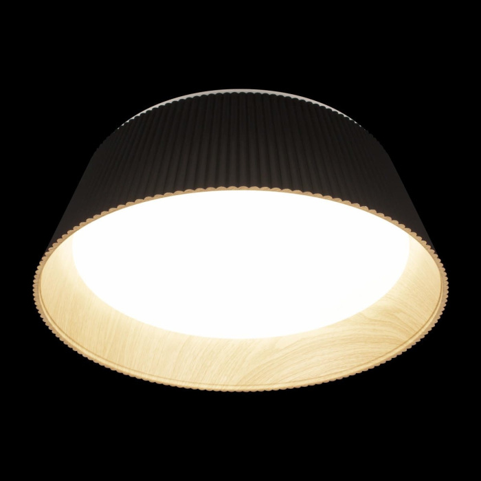 Изображение товара Потолочный светильник Evans 10224 Black от магазина N&M Home